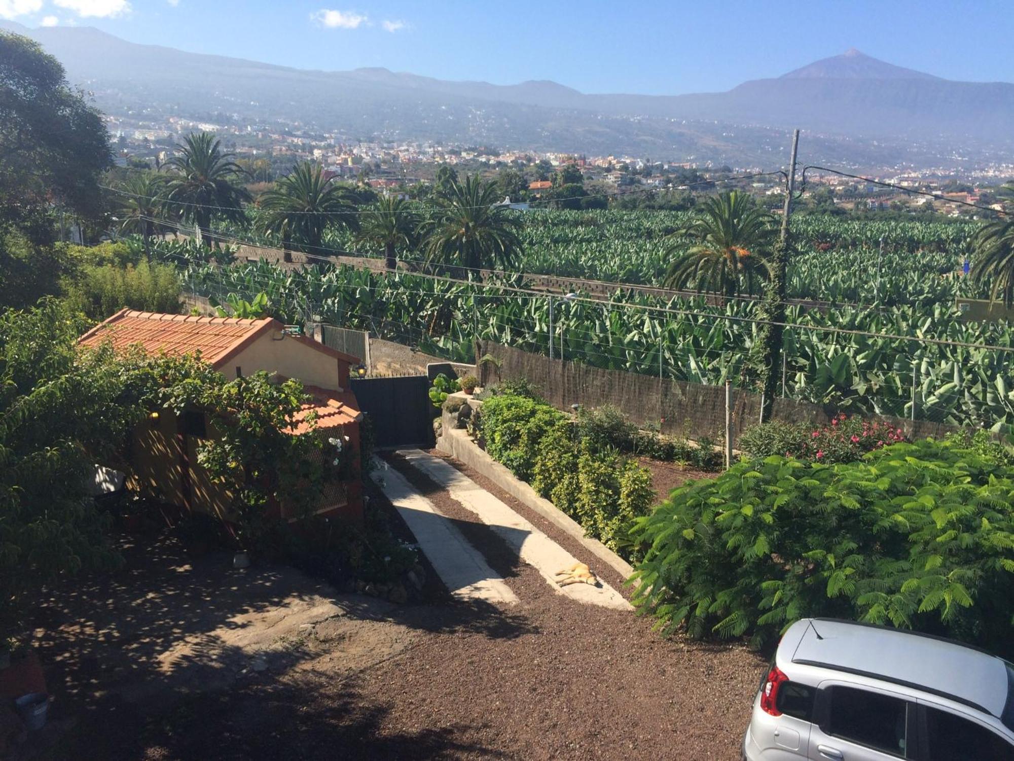 Finca La Plantacion _Agroturismo La Orotava Exterior photo