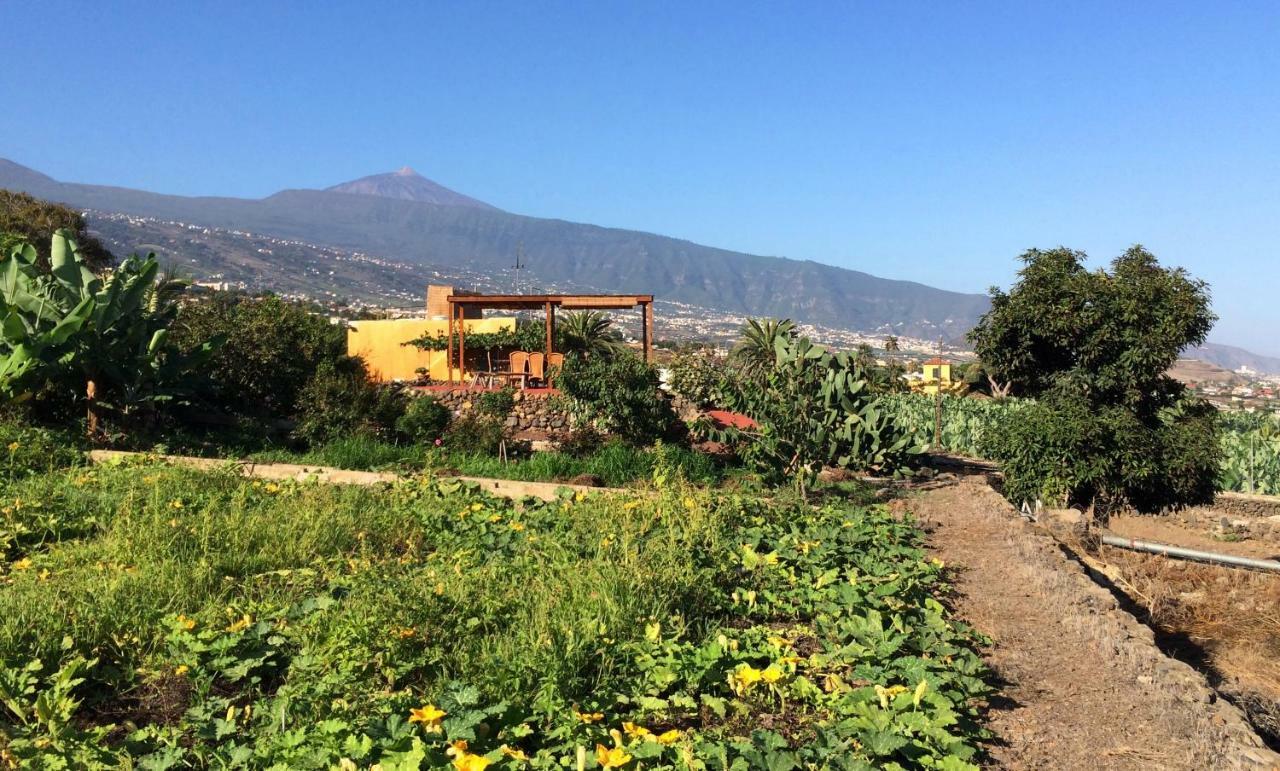 Finca La Plantacion _Agroturismo La Orotava Exterior photo